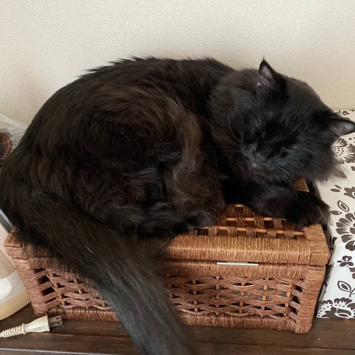 0bda35c4 62ab 4c9e 93a0 00212c532f5e 1575854838612