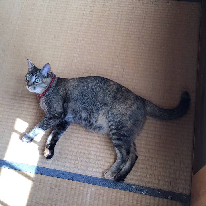 0bda51fc c74c 44ab aab0 034a08aa01cc 1598235823336