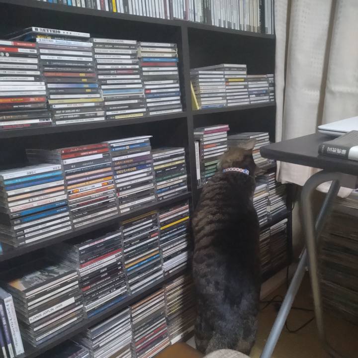 0bdb0f7c 5e40 47c2 a0a5 db30c3644337 1678703507389