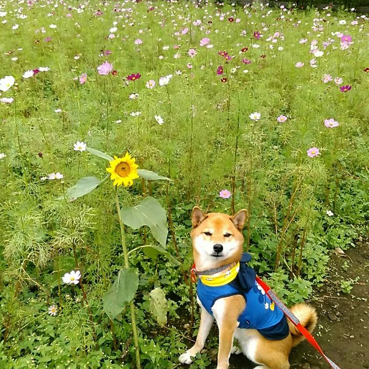 0bdb154d fa06 4a61 aec9 524efc250bfb 1538988319433