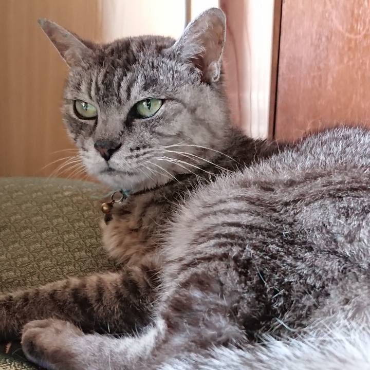 0bdb20bb 9fbe 452f b6d8 da2587cb79c2 1566025809026