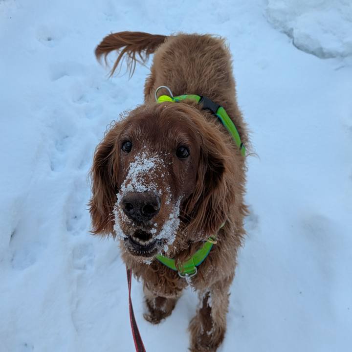 0bdb88e4 5e63 4c70 8c1a 3d7ab8fec86d 1769381830688