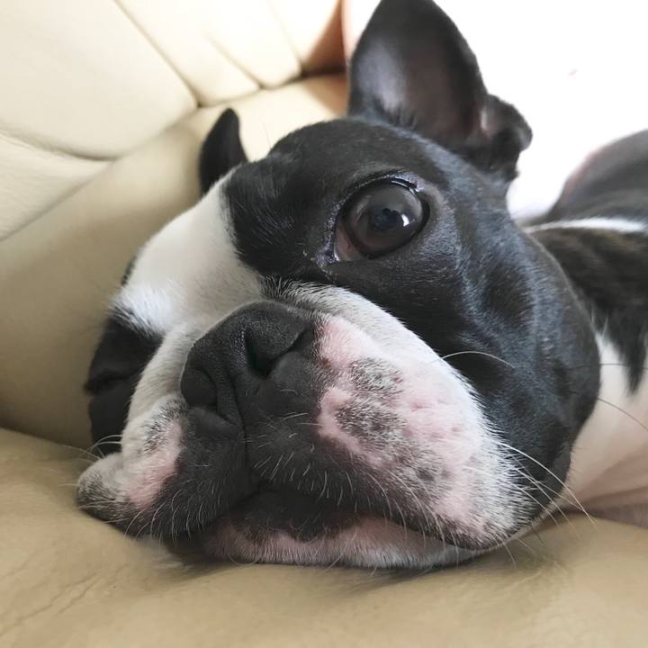 0bdba890 7b52 4c16 86cd 1f643a5bb4d7 1534679396419