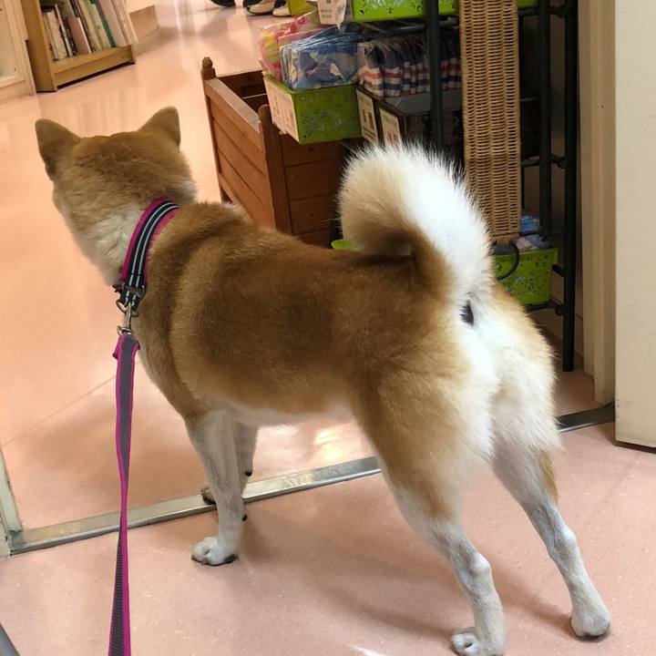 0bdbc862 00fe 4557 876f dbcffc4edfd8 1533557129681