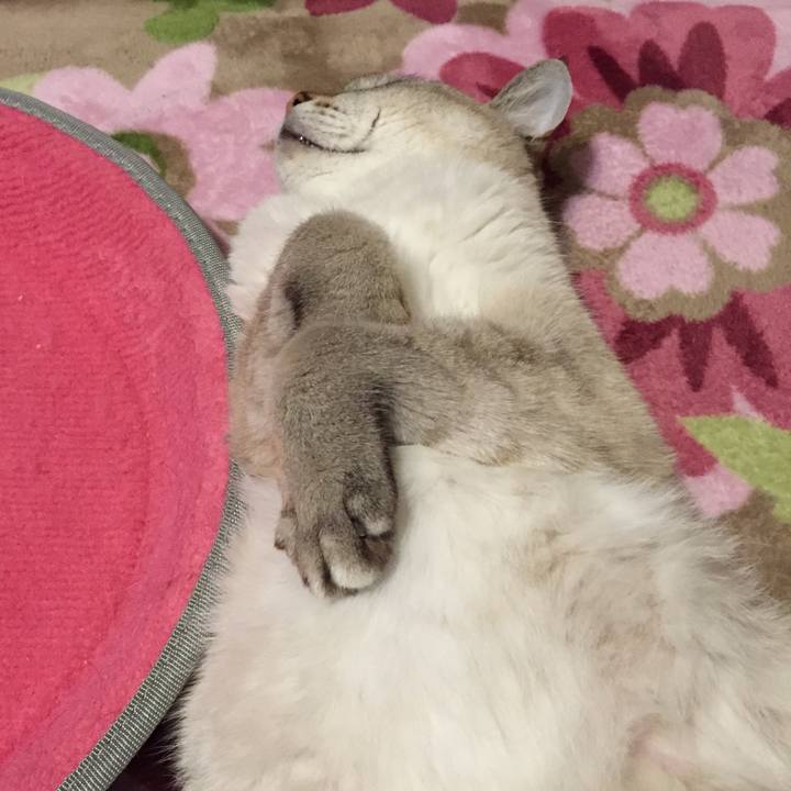 0bdbe749 2d6b 4b09 9ea9 c407f84b2f0a 1541595373375