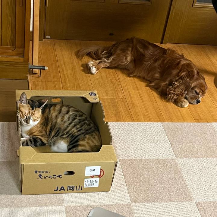 0bdc19d2 15e8 404e b1bd 16012d46d607 1694685576495