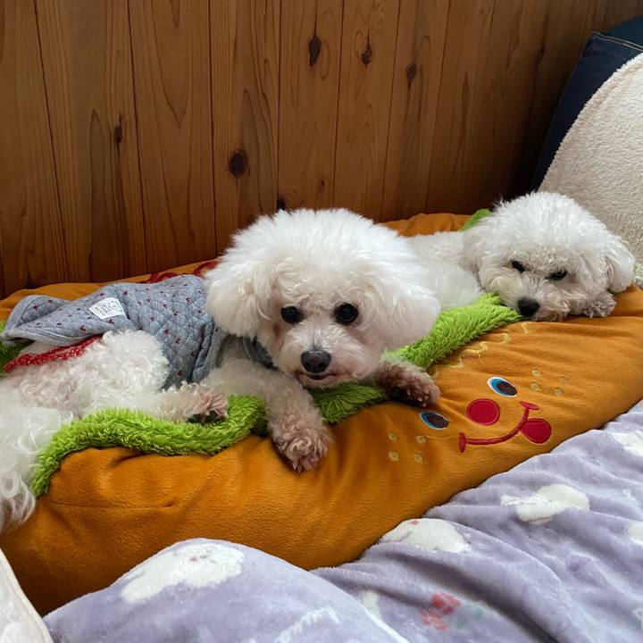 0bdc696c 5bd3 4fa7 9274 1a39ba49006a 1768115889028