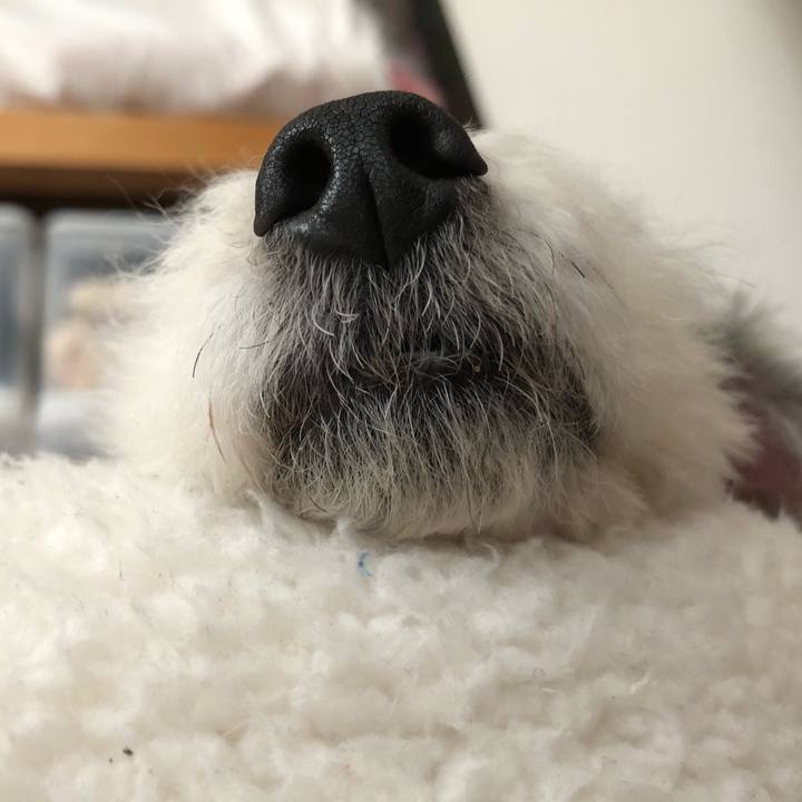 0bdca638 9316 4a85 92d8 52efbfb3ca2f 1589524318100