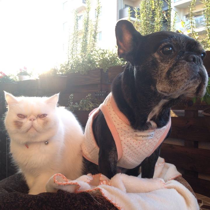 0bdcd7a0 f563 43a4 99d8 a24c75587caa 1510739582941