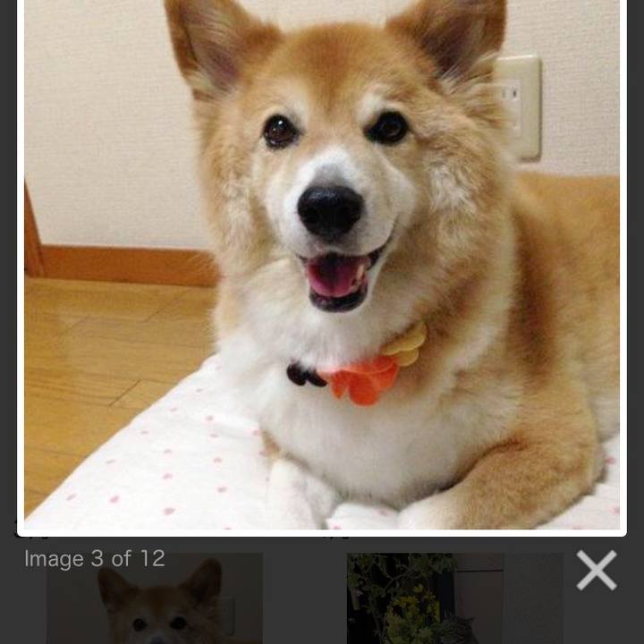 0bdd06d2 447c 4ba0 8e1d 90a717a51e7a 1604880174526