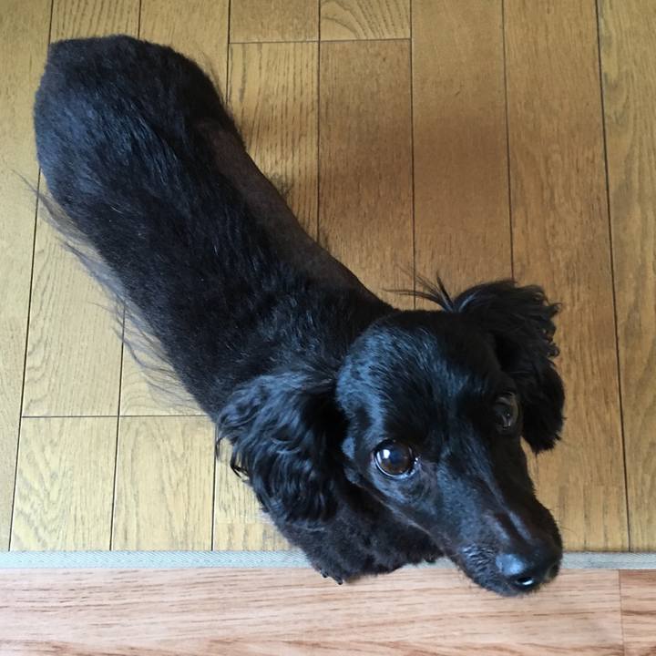 0bdd1889 0208 434b 9fac 4ac2fc149b52 1529879844280