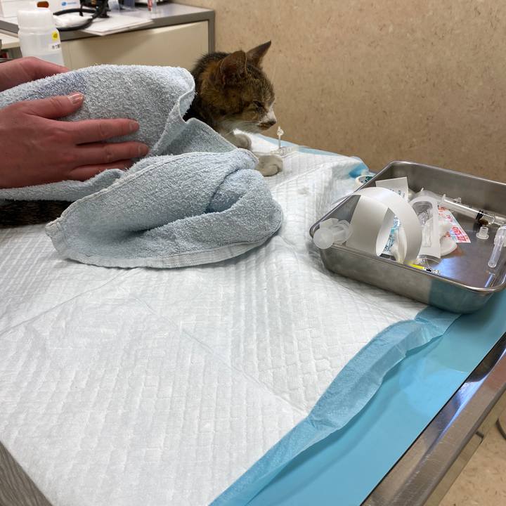 0bdd27cd 7d62 4d91 a7cf 6feb4775c74a 1584502124531