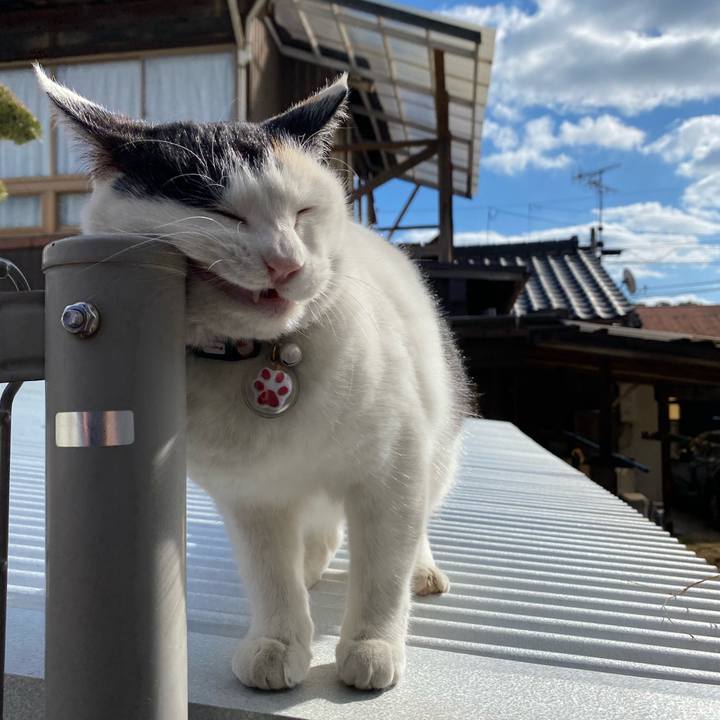 0bdd5149 6a29 4ee8 8fe8 2c74db023e60 1642592130601