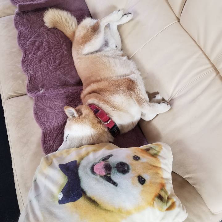 0bdd854c 426c 4ec5 a40d 49b6b26150d4 1738022406558