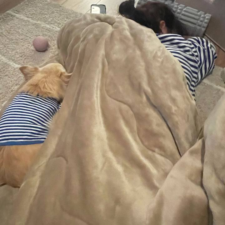 0bdd9653 2dfe 4fda 9c83 cacee22d9da5 1747489171155