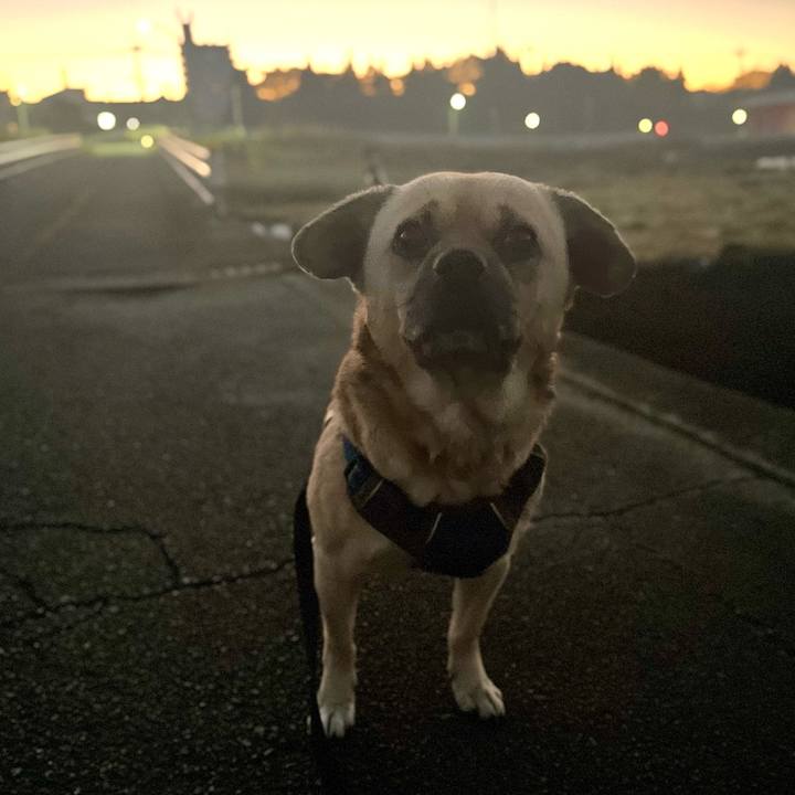 0bddda37 a878 4328 851a c79a59128f6e 1764452892900