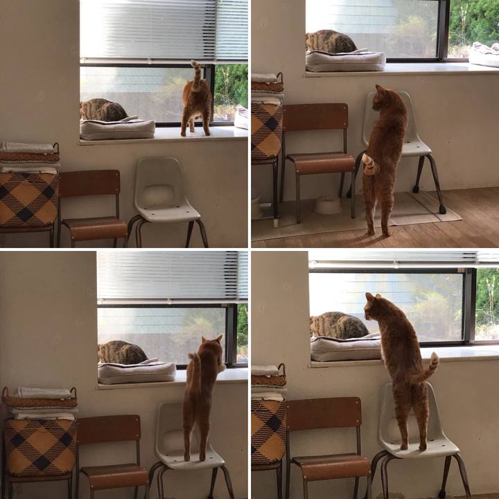 0bde3a75 d6a3 4b9e a989 3b4d03e9a0f4 1510455271003