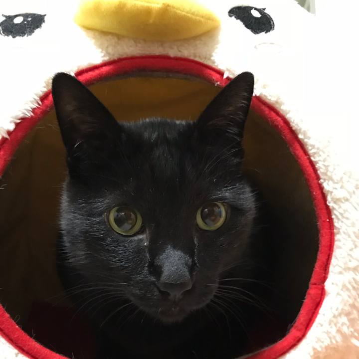 0bde4a07 0eea 49ff a40b d1fc677570c2 1514769304229