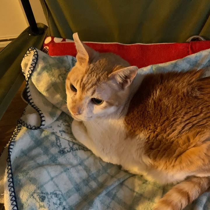 0bde5c34 649e 4530 97d9 74de2a941b35 1606691818446