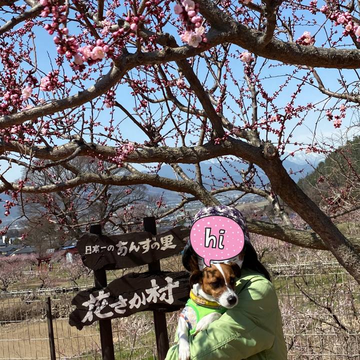 0bdec0dc 82a2 4f83 9d7f 4ad39fb46af1 1649328072300