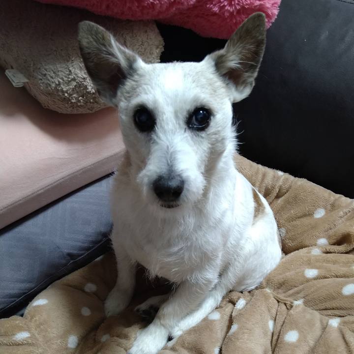 0bdee7dc 16f2 4ec6 ac10 1bbfdb931eb4 1706697722435