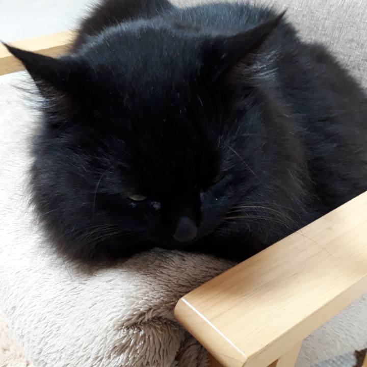 0bdf165b 504f 48ea 9f49 c2172c548dcb 1520710194277