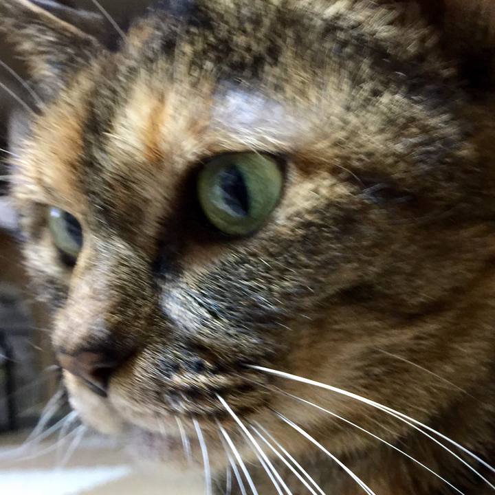 0bdf371d 2b30 4883 94df f46425e1d122 1508938692840