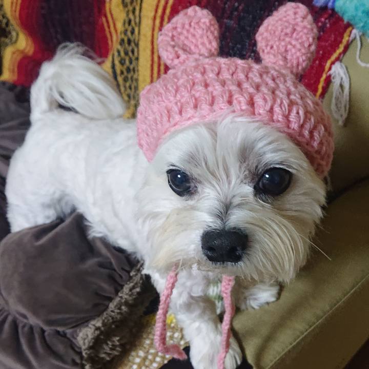 0bdf3a56 c881 408d 867d 83dbc2325cac 1670968930443