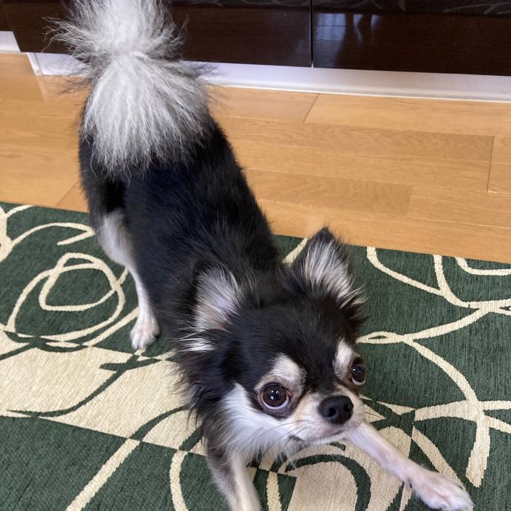 0bdf589a 2638 43d9 9529 cba63d45a8f5 1633839348031