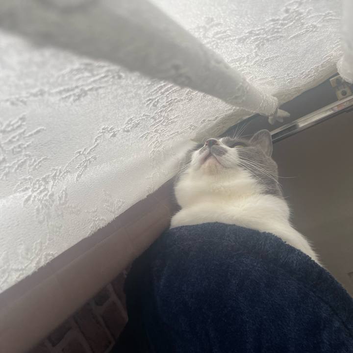 0bdf6816 f847 4900 af9b 67b017fd2fe5 1684796270280