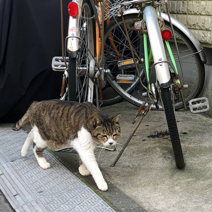 0bdf6b6e 2cc6 48df afe1 9a82dc41b41c 1520750931819