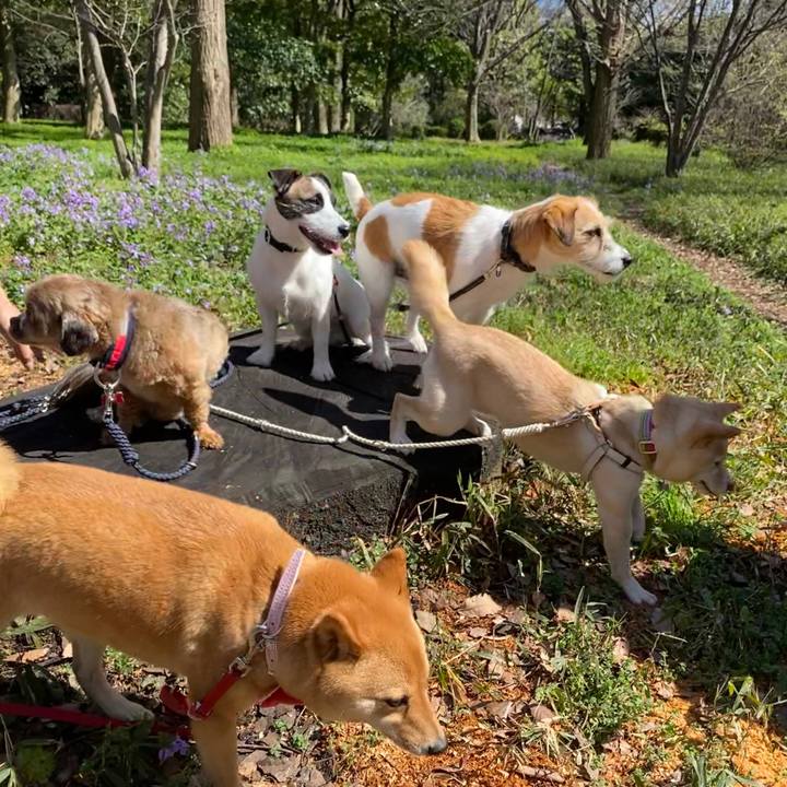 0bdf76ad 2789 4d18 95d3 09bbe01c0cd9 1583978619657