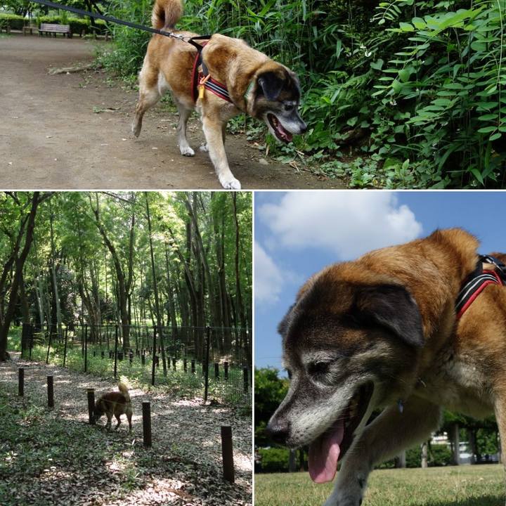 0bdfc861 64ef 4f0b a3e3 d9c585dd021e 1527904206431