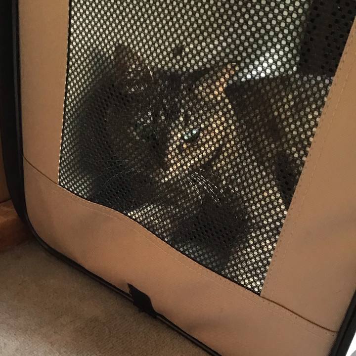 0be004ee ba4b 4887 817c 4d4a0a77f549 1758105374818