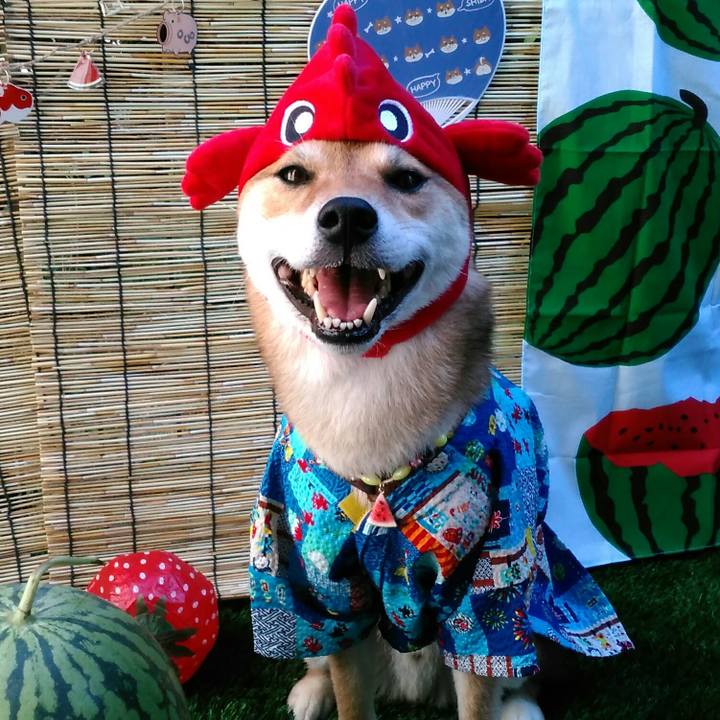 0be03684 8388 4f02 9710 a19d8b9c3f65 1533356874184