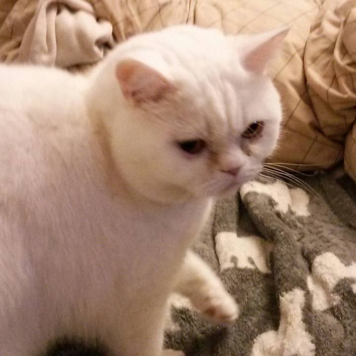 0be04eea 3086 4b00 bd5b 32d536cf99f2 1521500700679