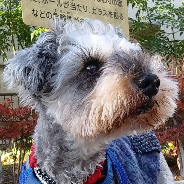 0be05188 172b 481d 98ae 905dd1aa1b05 1639607642370