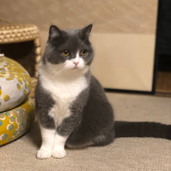 0be052bf 2da1 497f 8d20 bf852dbc50a4 1556883437239