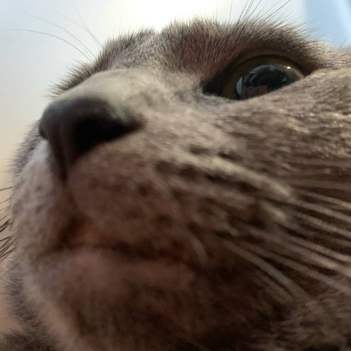 0be0686c 96ba 435e 8baa 6d34925f8e65 1601733898268