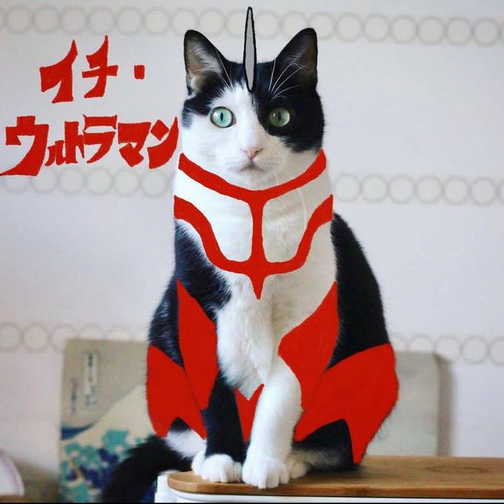 0be0767b 50be 47ae 8ddf 7411efd3ef2d 1670247264310