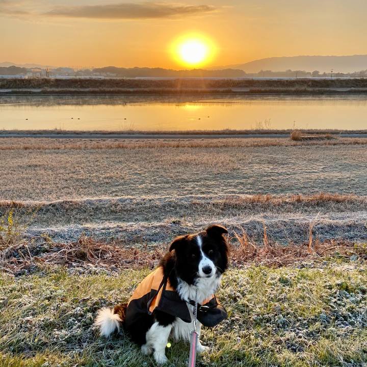 0be08e0a 24b9 47b7 8023 10a902709fd3 1611962038808