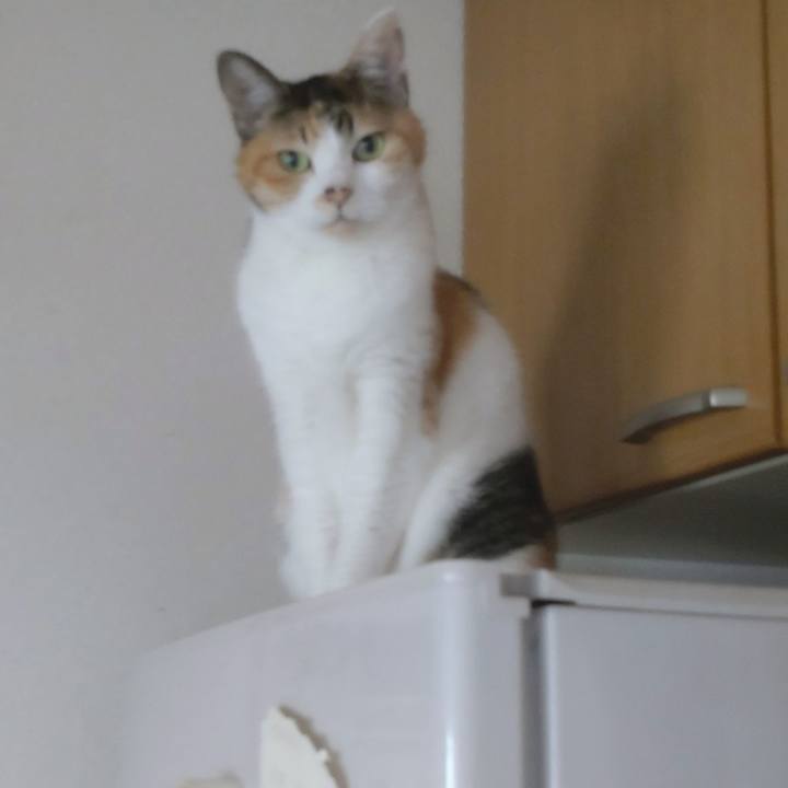 0be08eba b0f9 405b bc06 02d6d6d4c062 1695264952744