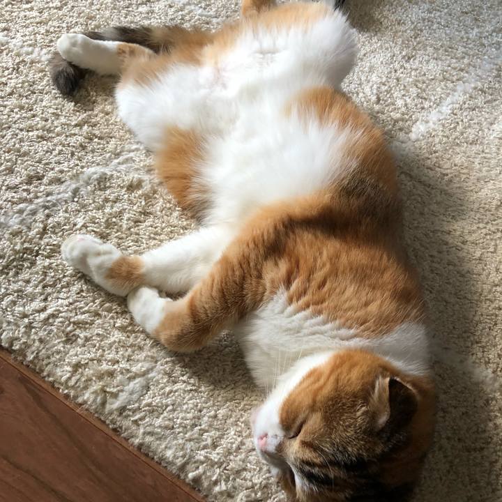 0be0a301 2843 49e6 910d d63d606e8e4b 1626792256015