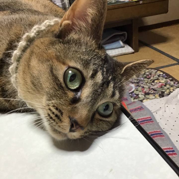 0be0a614 c81b 43af a257 ad5e2dbc2306 1647901889648