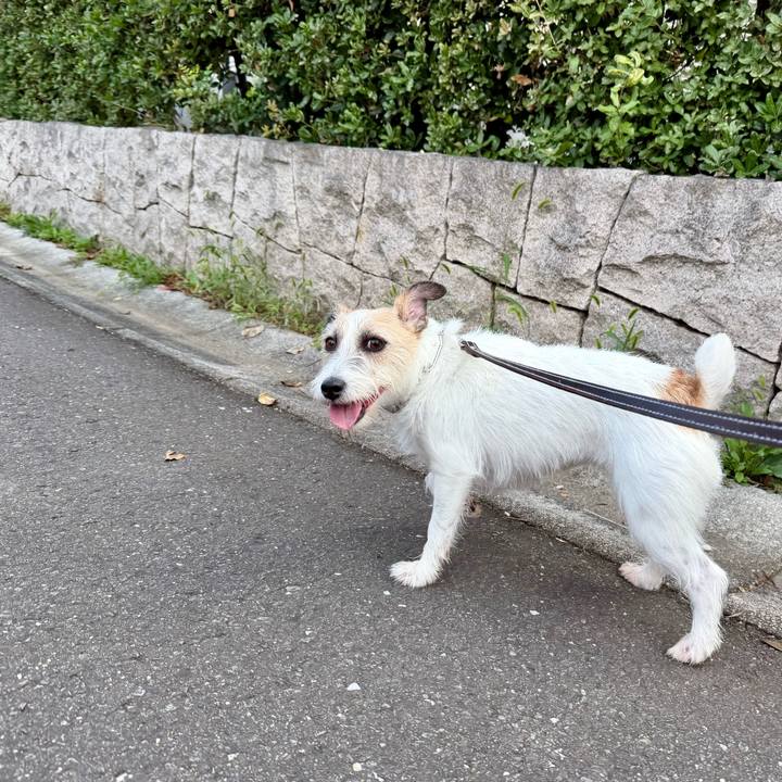 0be0b8c5 1890 4412 b33e 7179bf0c1305 1760791186892