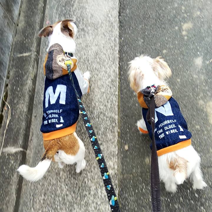 0be115c8 9175 4e21 9859 23adb70d9275 1547344252058