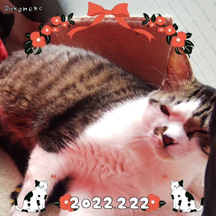 0be14035 c9ca 4c6b ab85 3a215086e9e9 1645493201368