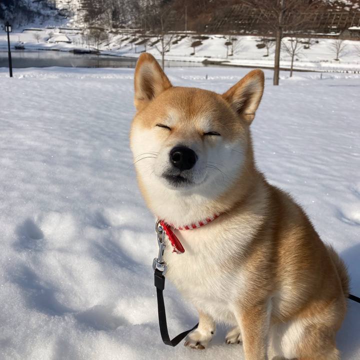 0be15ada 3c62 465e 9df2 562bd483572e 1646127599567