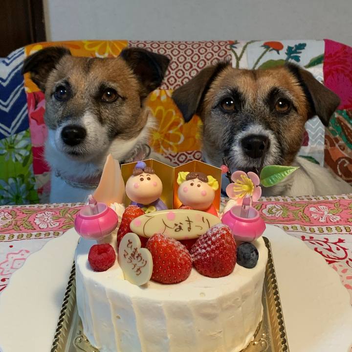 0be18231 0cd7 406e 8bc1 ee827ff17cdf 1583066413484