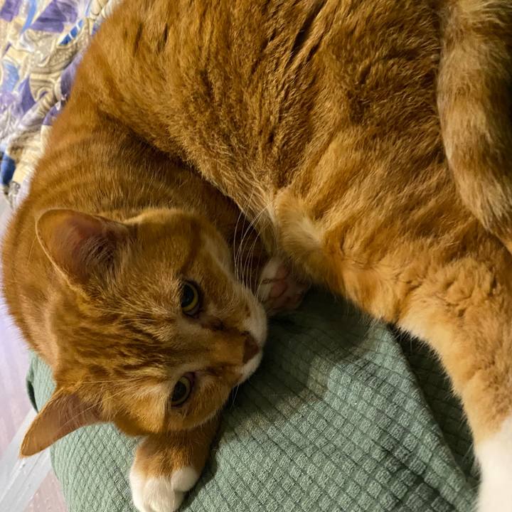 0be19c8b d777 4076 9831 ad694514b6fd 1653567828204